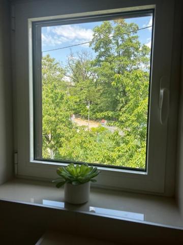 Deluxe Apartman Mimi Viskovo With A Free Parking Space Zewnętrze zdjęcie